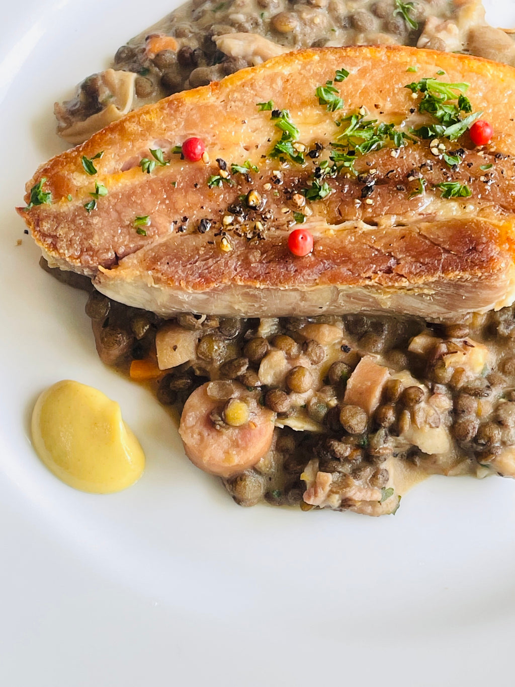 プティサレ　-豚バラ肉とレンズ豆の煮込み-　250g